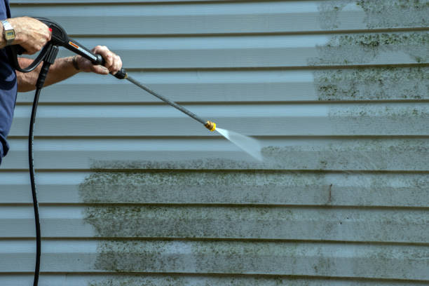 Best Patio and Deck Pressure Washing  in Bala Cynwyd, PA